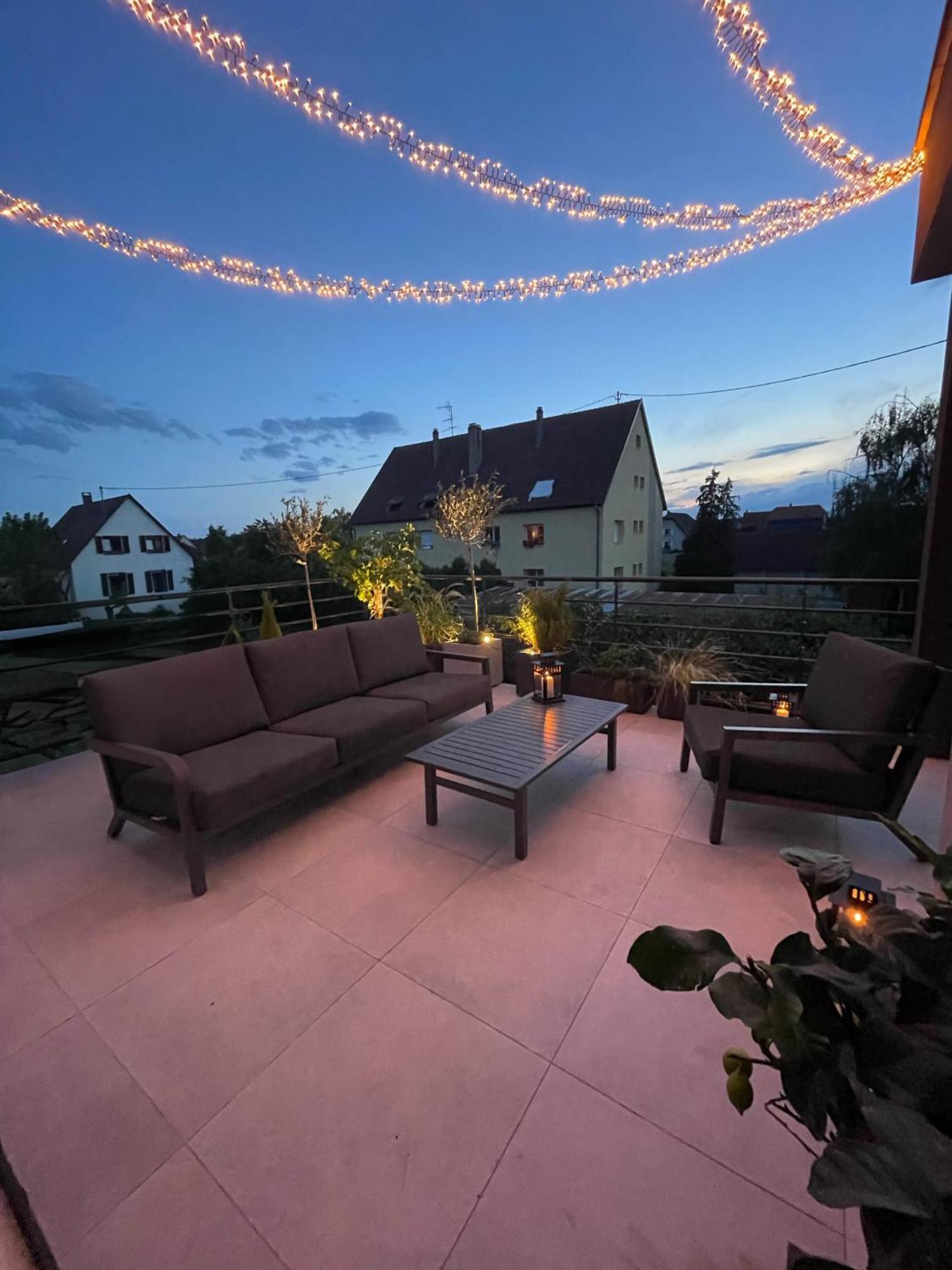 Colmar Appartement Terrasse 10Min Centre Ville Widensolen エクステリア 写真