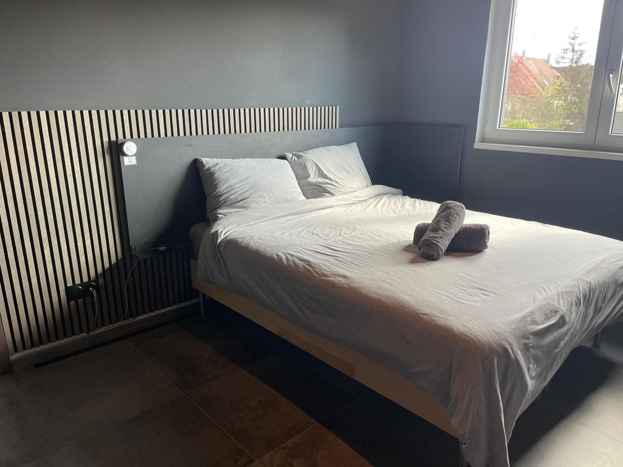 Colmar Appartement Terrasse 10Min Centre Ville Widensolen エクステリア 写真