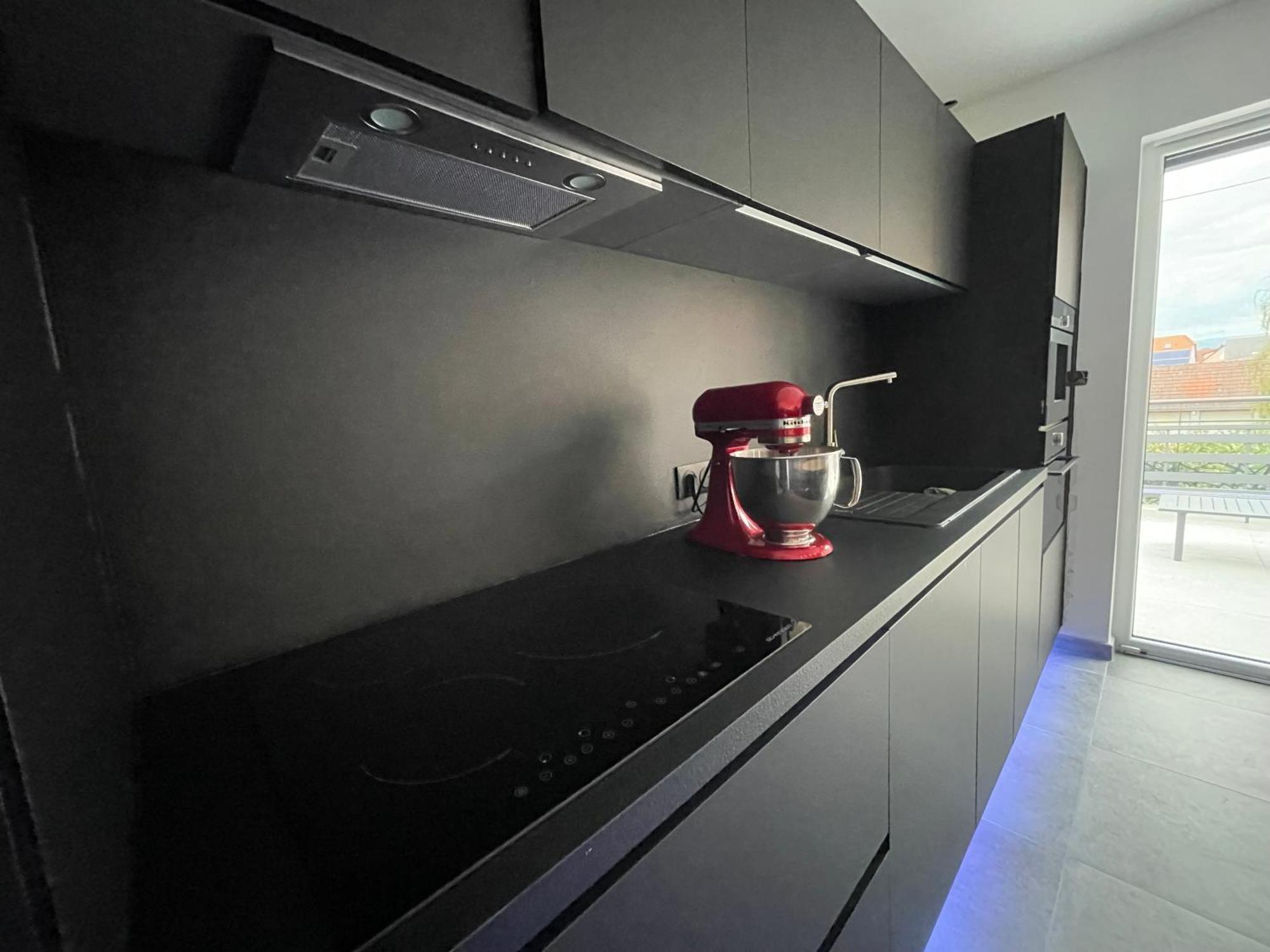Colmar Appartement Terrasse 10Min Centre Ville Widensolen エクステリア 写真